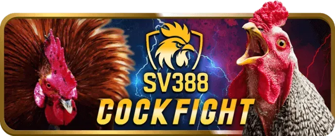 Hoàn trả hàng ngày s888